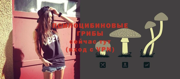 стафф Елабуга