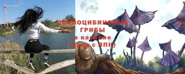 стафф Елабуга