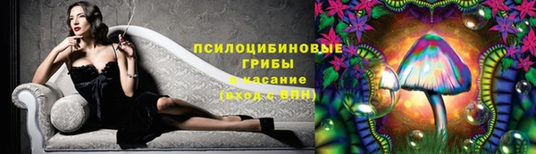 стафф Елабуга